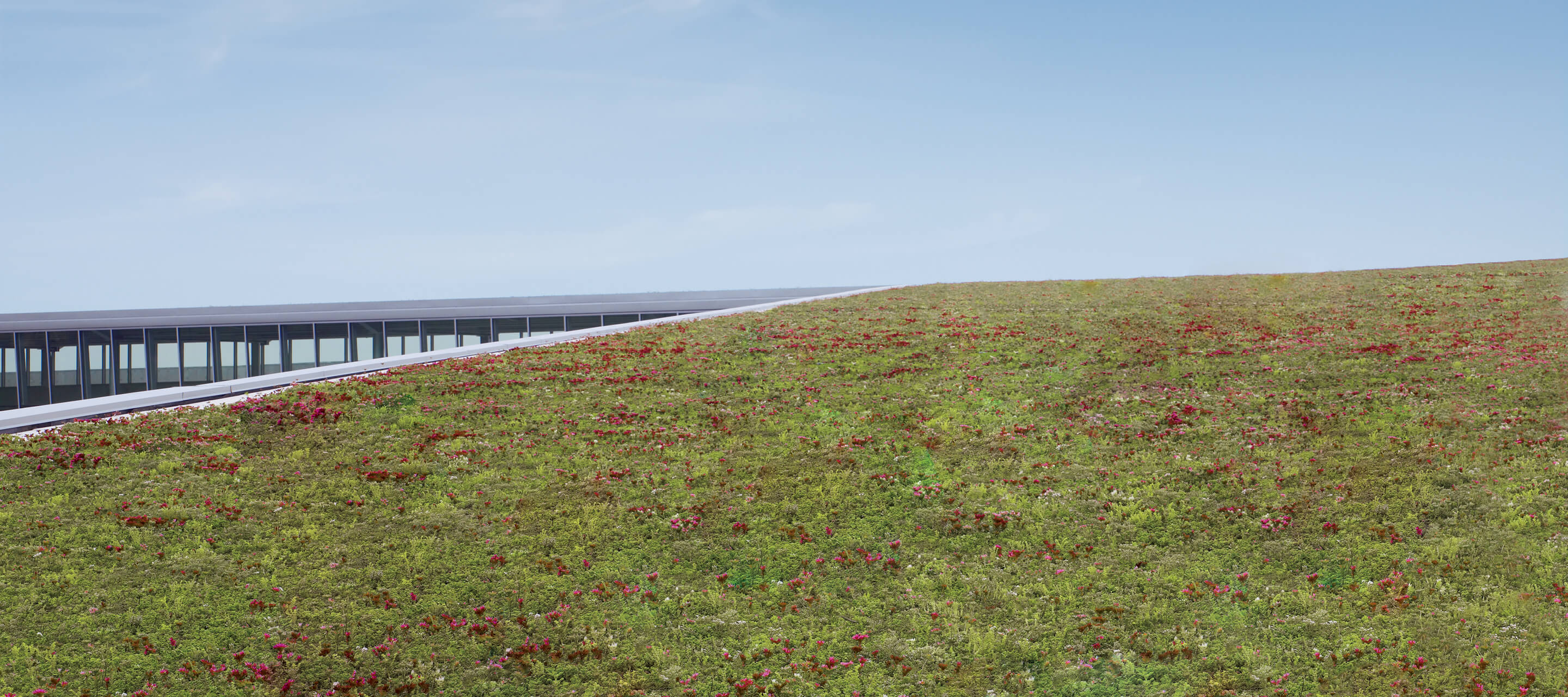 bannerImage