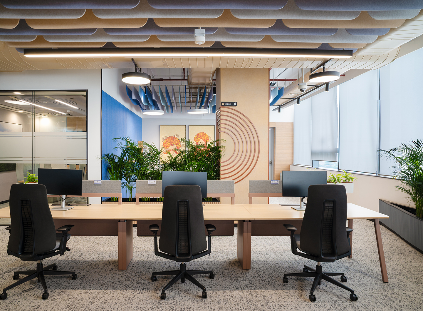 Colours, materials, and graphics connect the workplace to its local context.