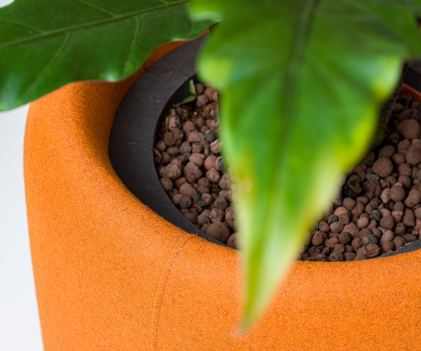 BuzziPlanter - acoustic plant pot